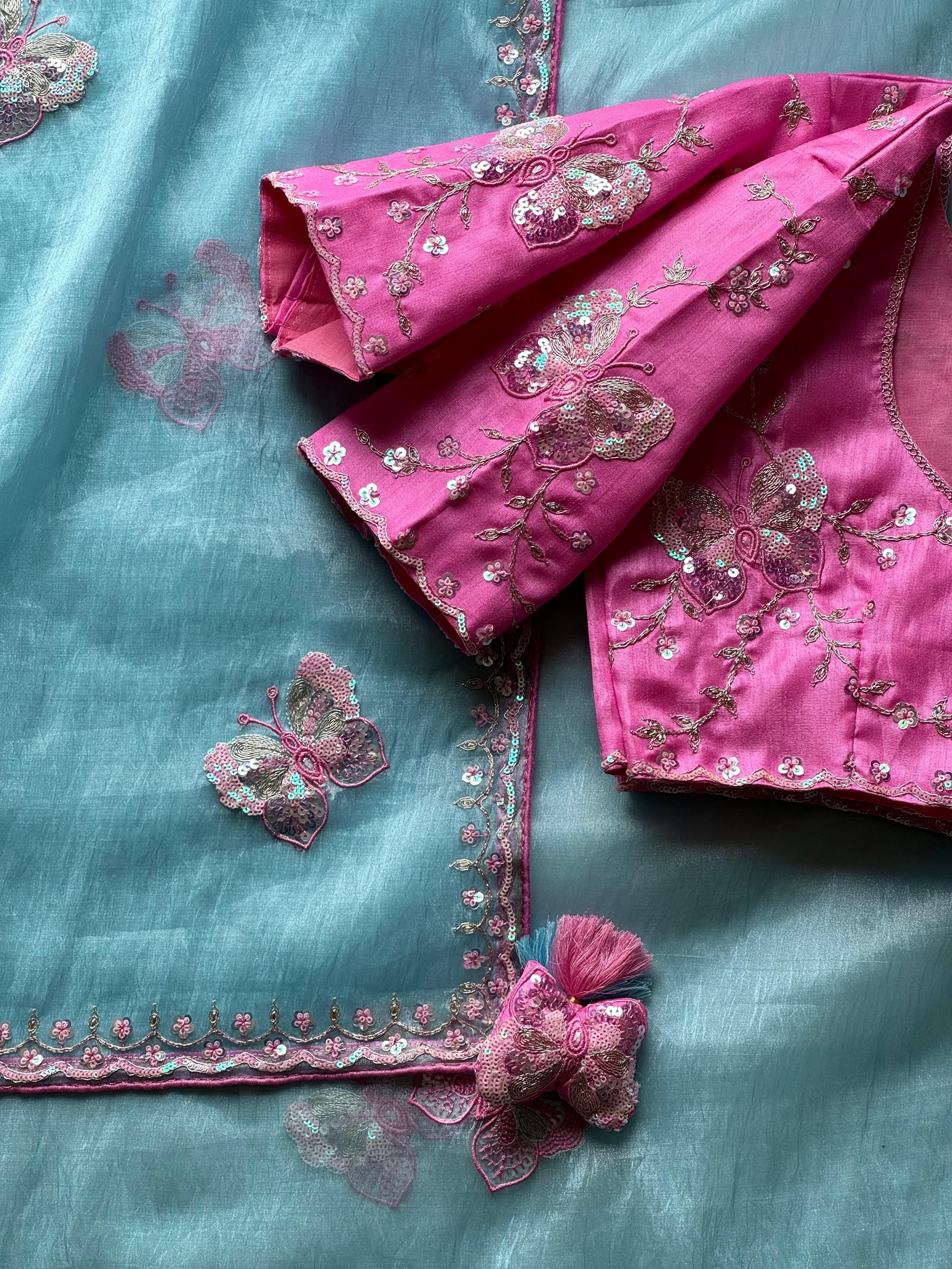 Pankhuri Sky Embellished Saree